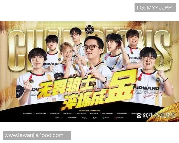 EDG战队配合引发热议DOTA2玩家对战术选择的分歧与思考 EDG战队配合引发热议DOTA2玩家对战术选择的分歧与思考