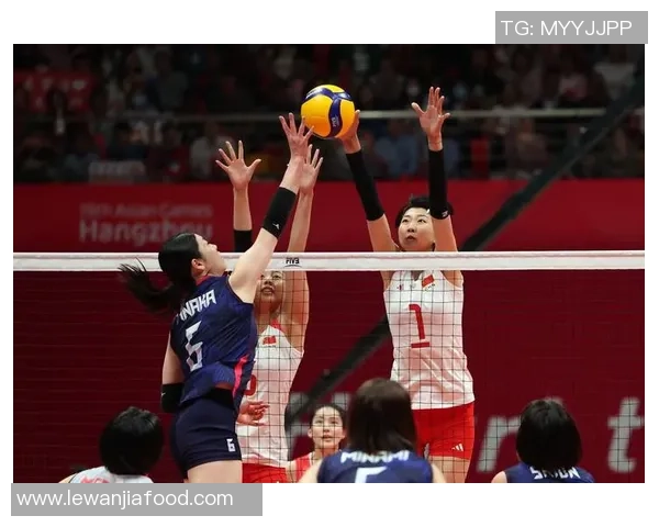 武汉排球队在精英赛中的实力展现与未来发展潜力分析