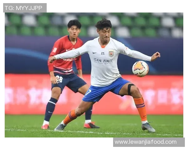 重庆网球队实力分析与表现评估的综合研究与探讨